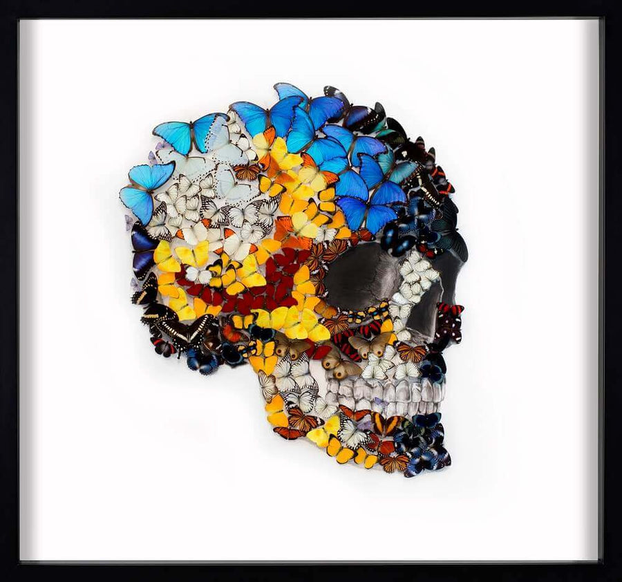 Butterfly Skull Profile Right White