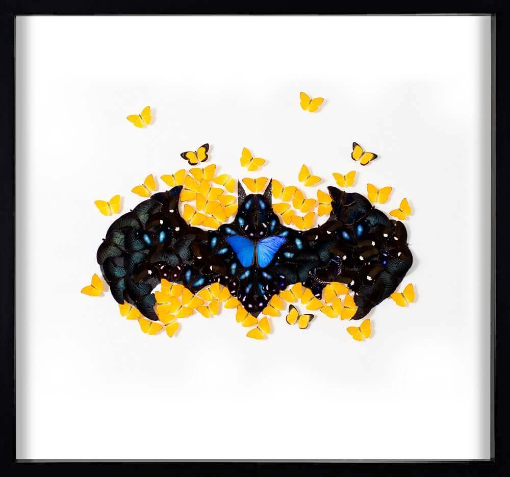Batman Butterfly White
