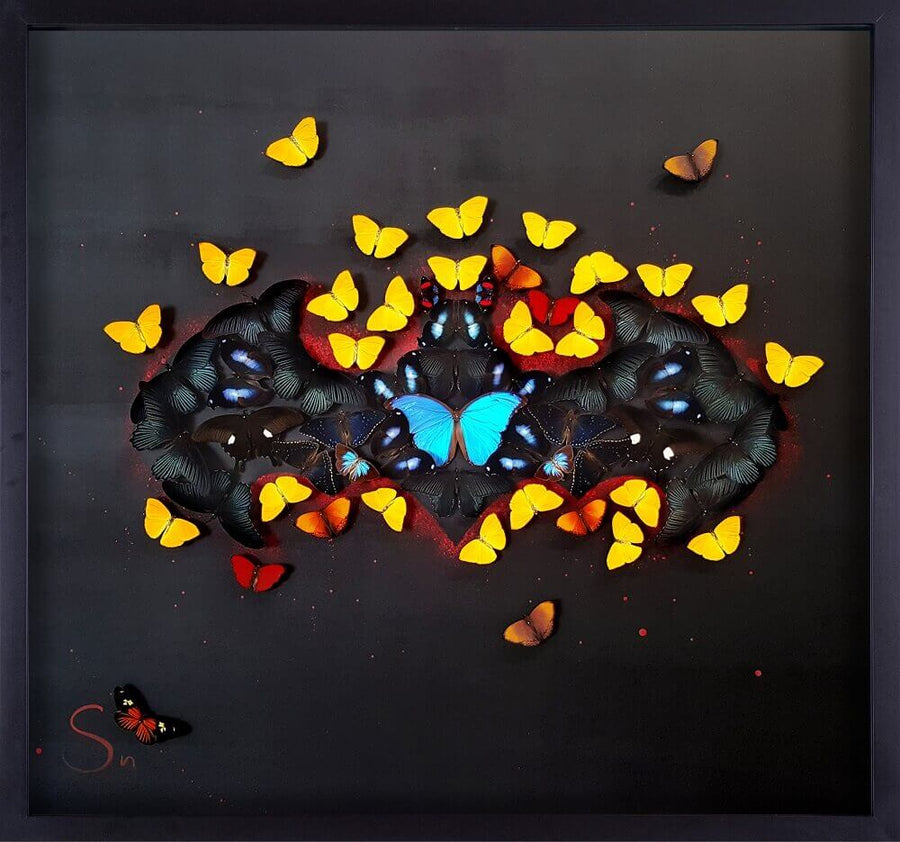 Batman Butterfly Black
