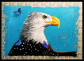 American Eagle