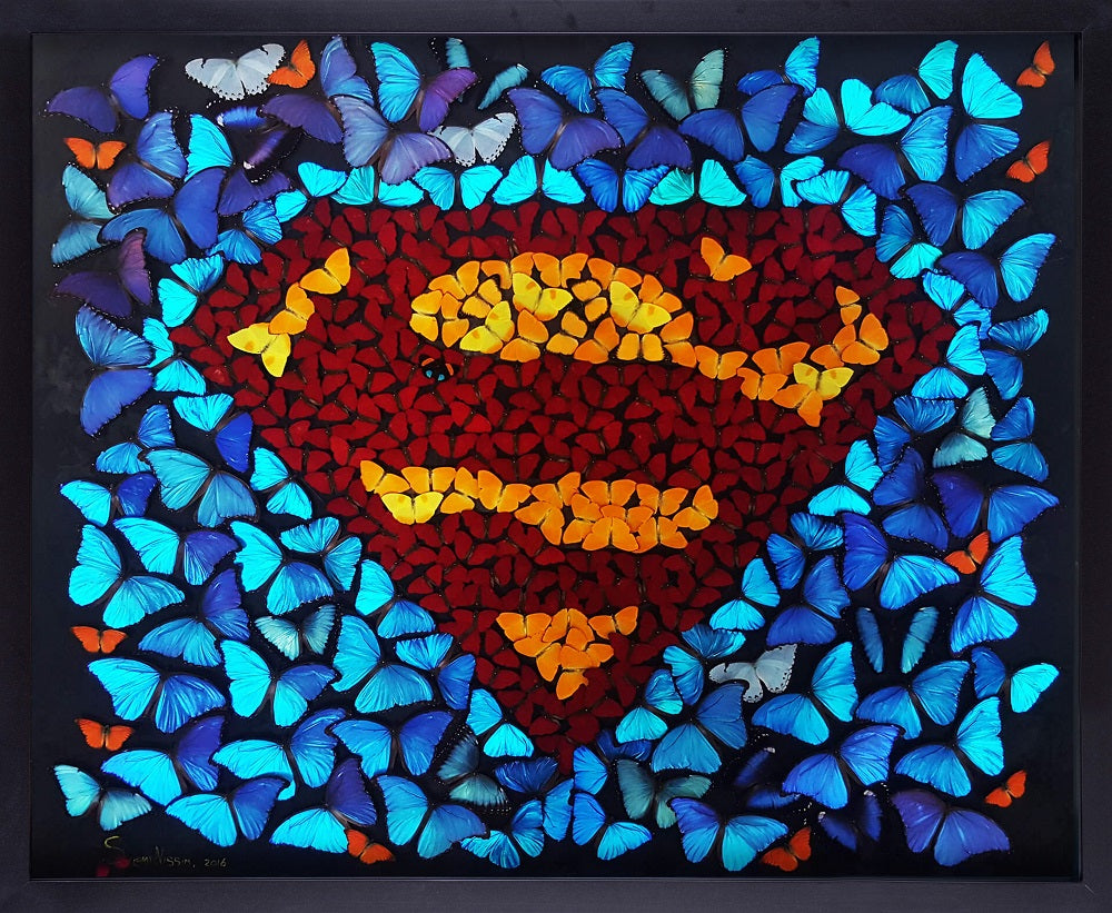 Superman Butterfly Black