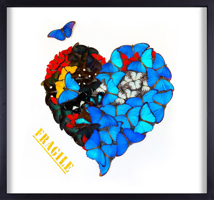 Butterfly Fragile Heart