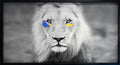 Humanimal Lion
