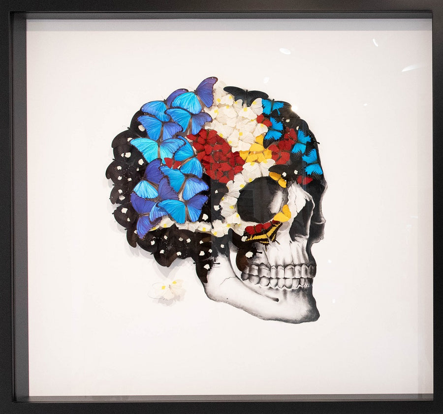 Butterfly Skull Profile Right White