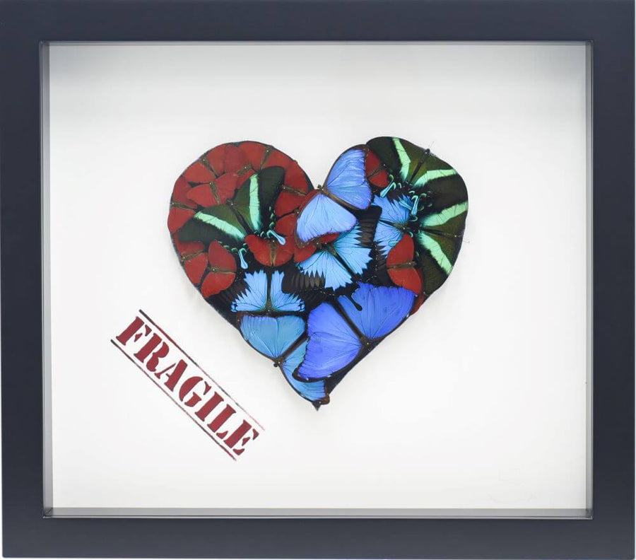 Butterfly Fragile Heart White