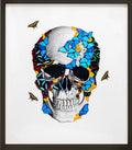 Front Skull