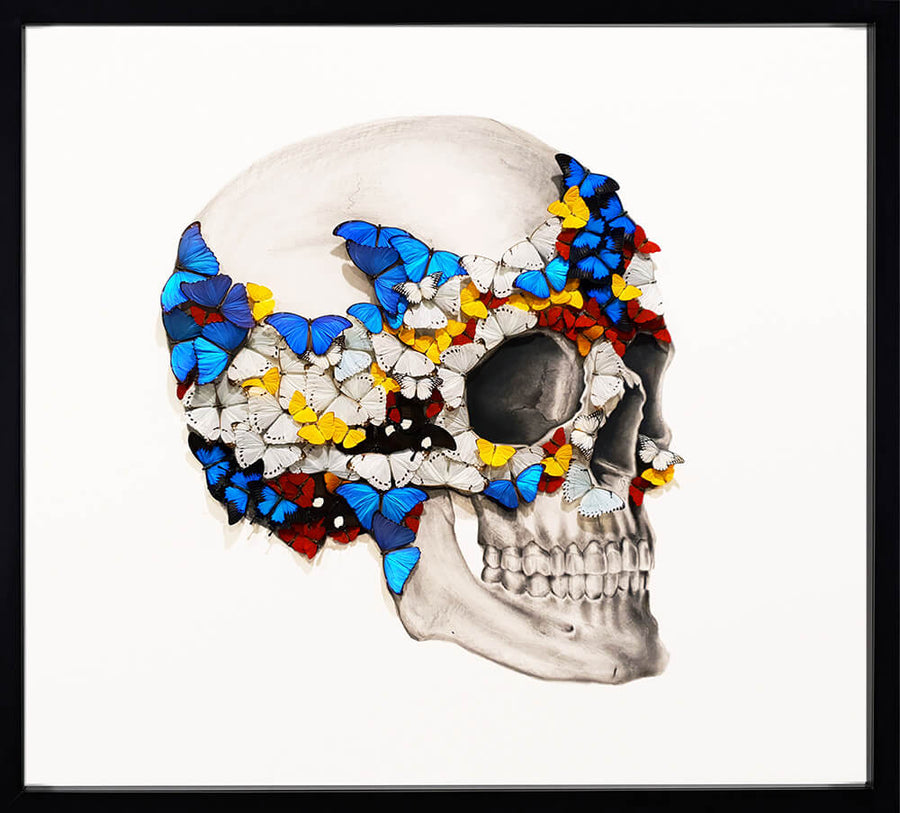 Profile Right Skull