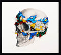 Profile Left Skull