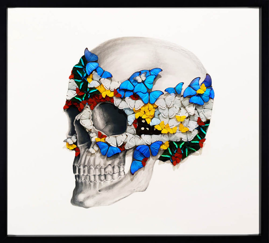 Profile Left Skull