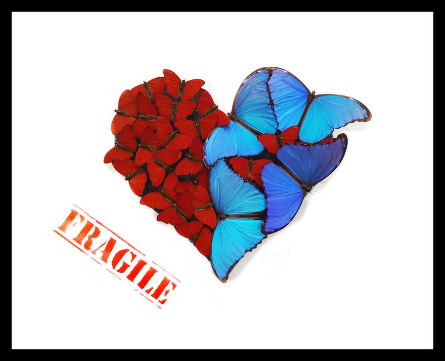 Fragile Heart