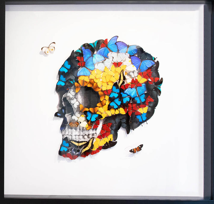 Butterfly Skull Profile - Left White