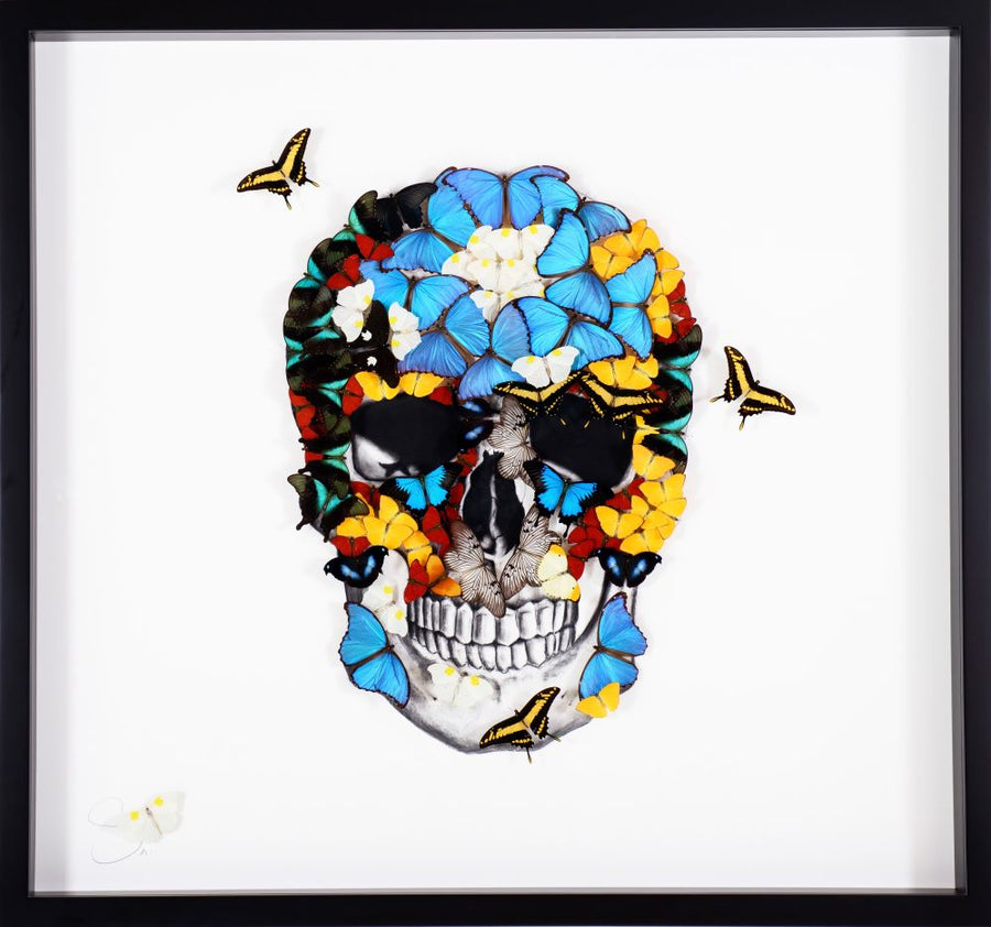 Butterfly Skull Face White