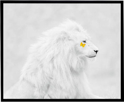 The Great White With Butterfly