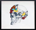 Front Left Skull