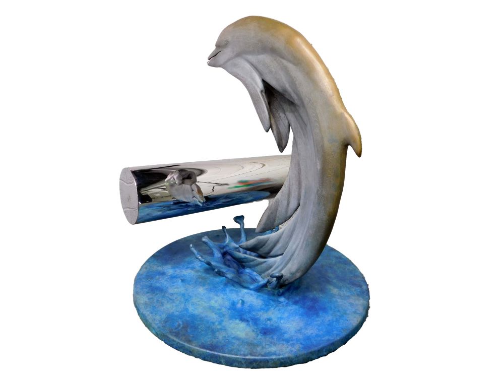 Consciousness Dolphin