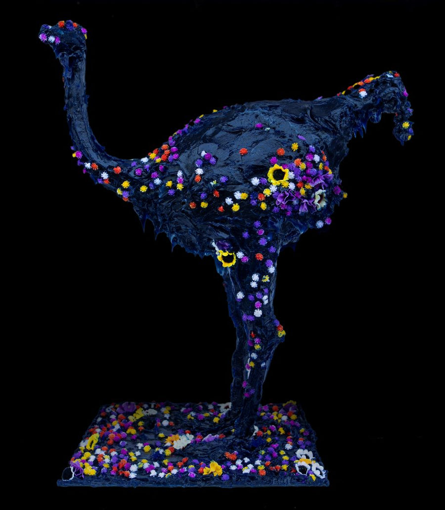 Blue Ostrich