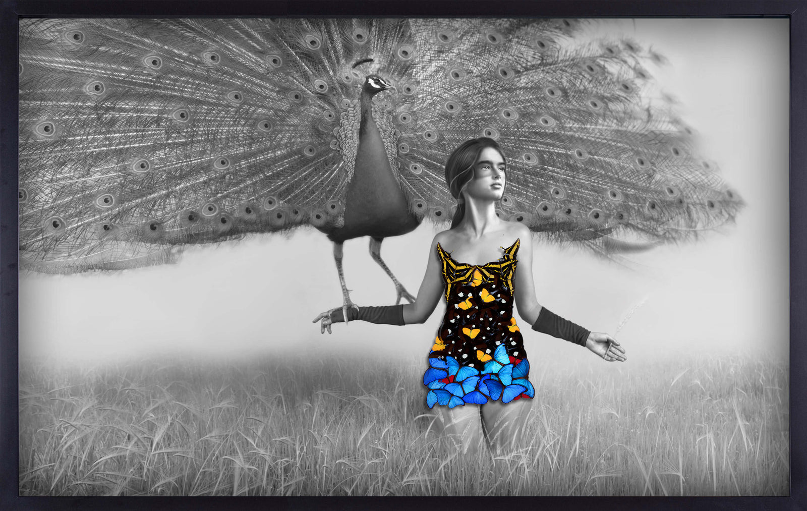 A Girl With a Peacock