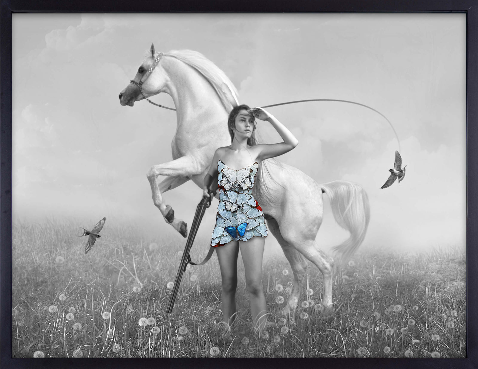 The Hunter and the White Horse