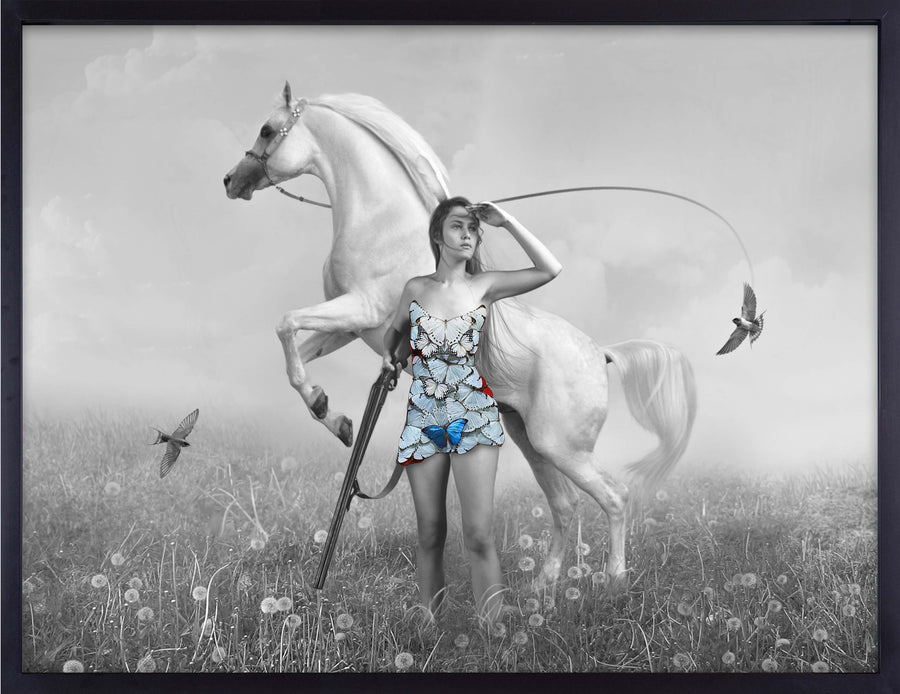 The Hunter and the White Horse