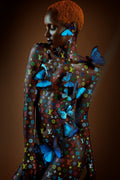 Veil of luxury butterflies