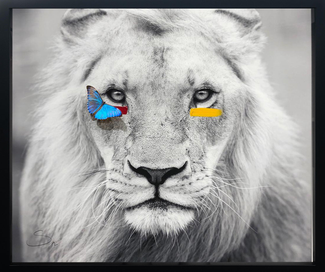 Lion XL