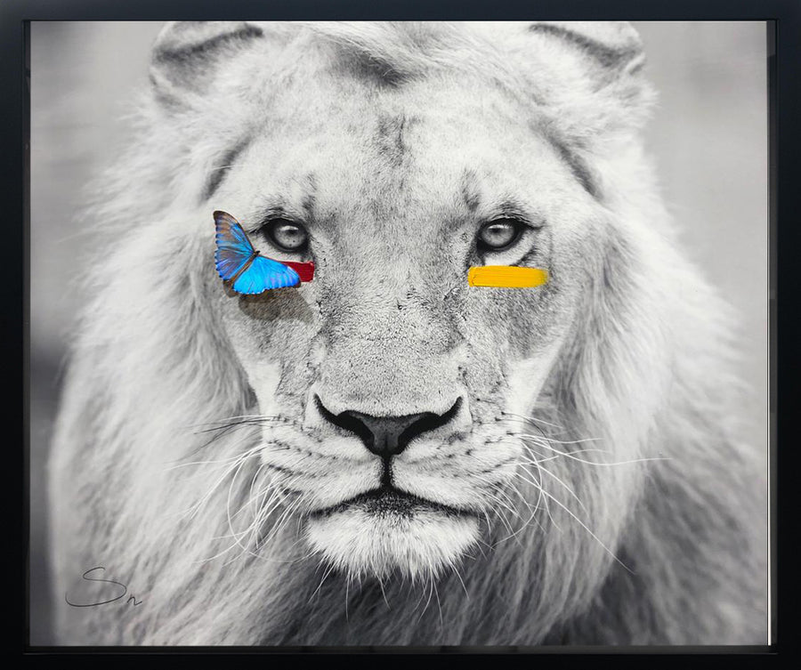 Lion XL