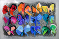 Country Butterflies II