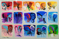 Butterflies Parade