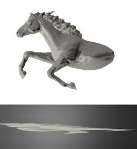 Horse oblique