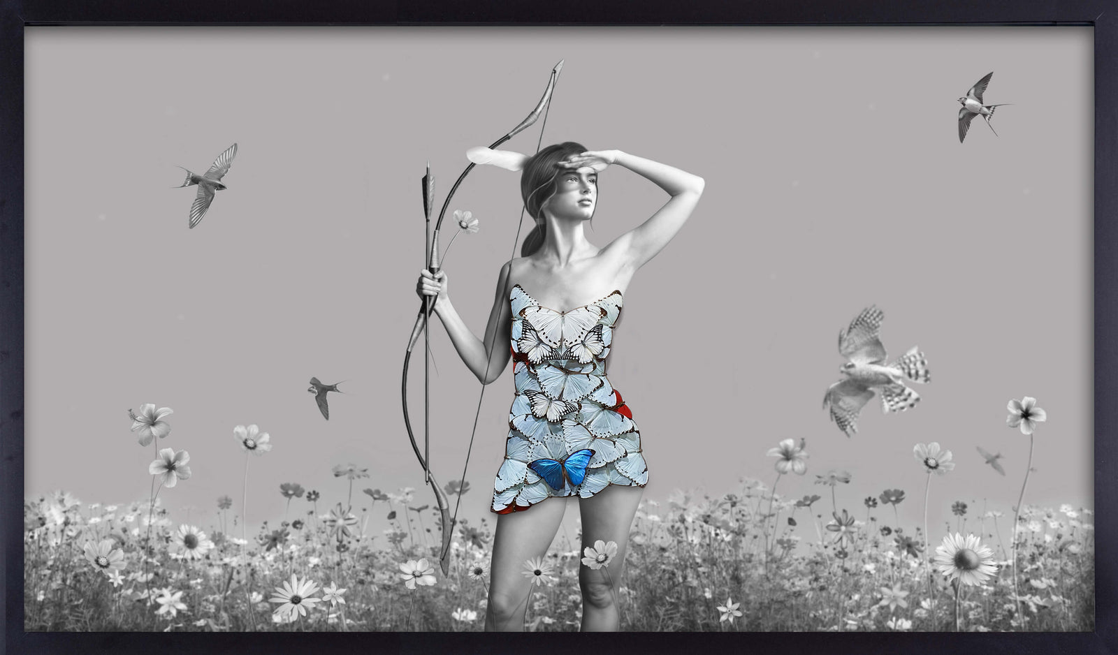 The Hunter and the Doves