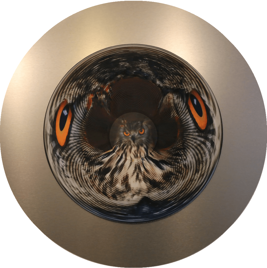 I See, I See