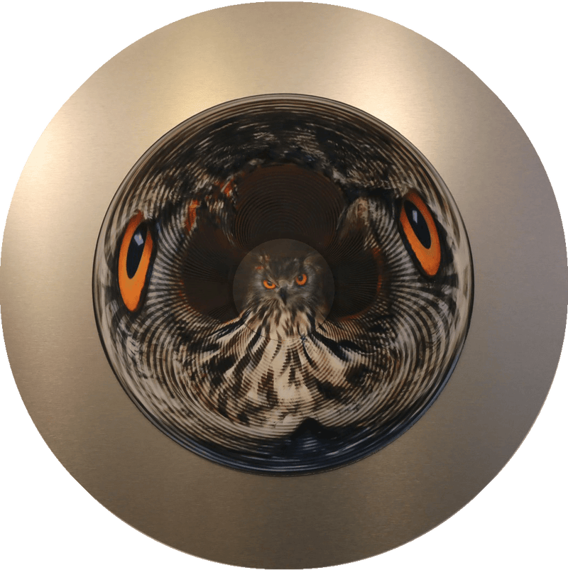 I See, I See