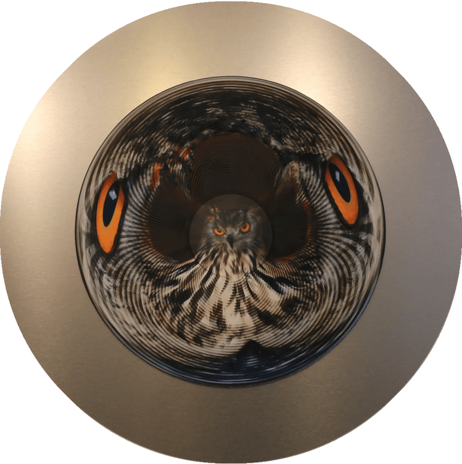 I See, I See