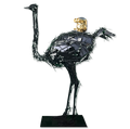 Ostrich Bob Back Riding