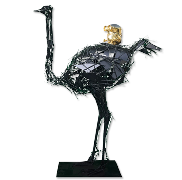 Ostrich Bob Back Riding