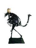 Black Ostrich Bob Tail Riding