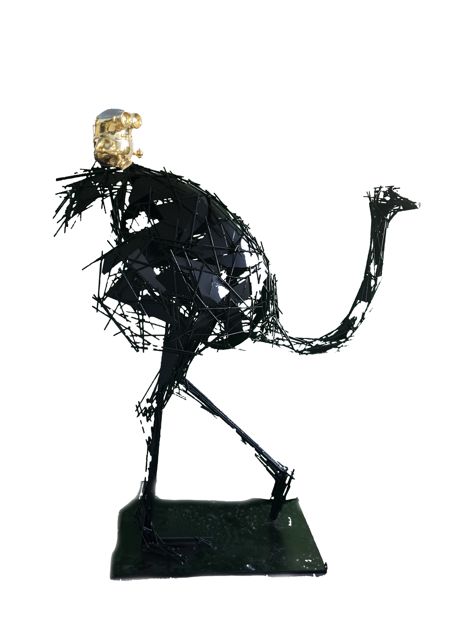 Black Ostrich Bob Tail Riding