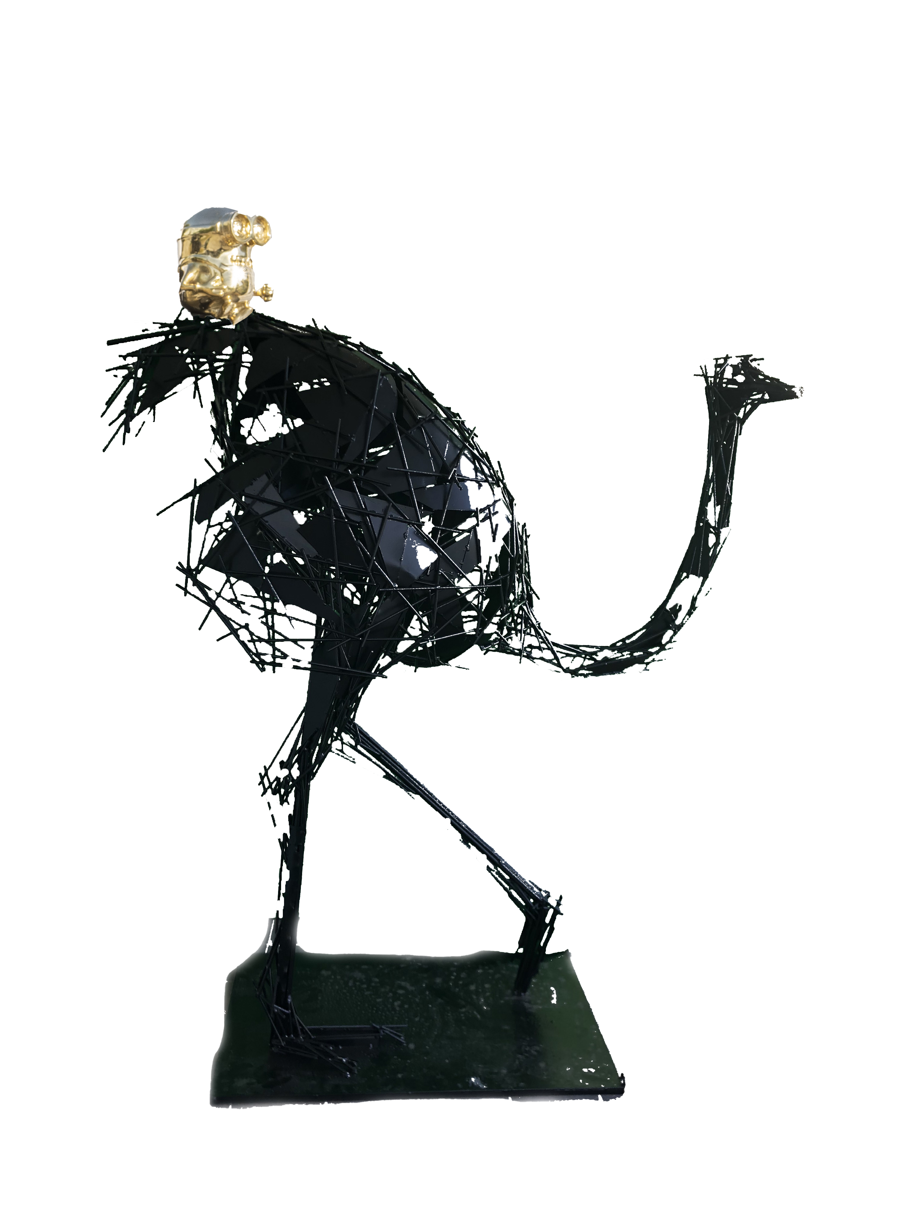 Black Ostrich Bob Tail Riding