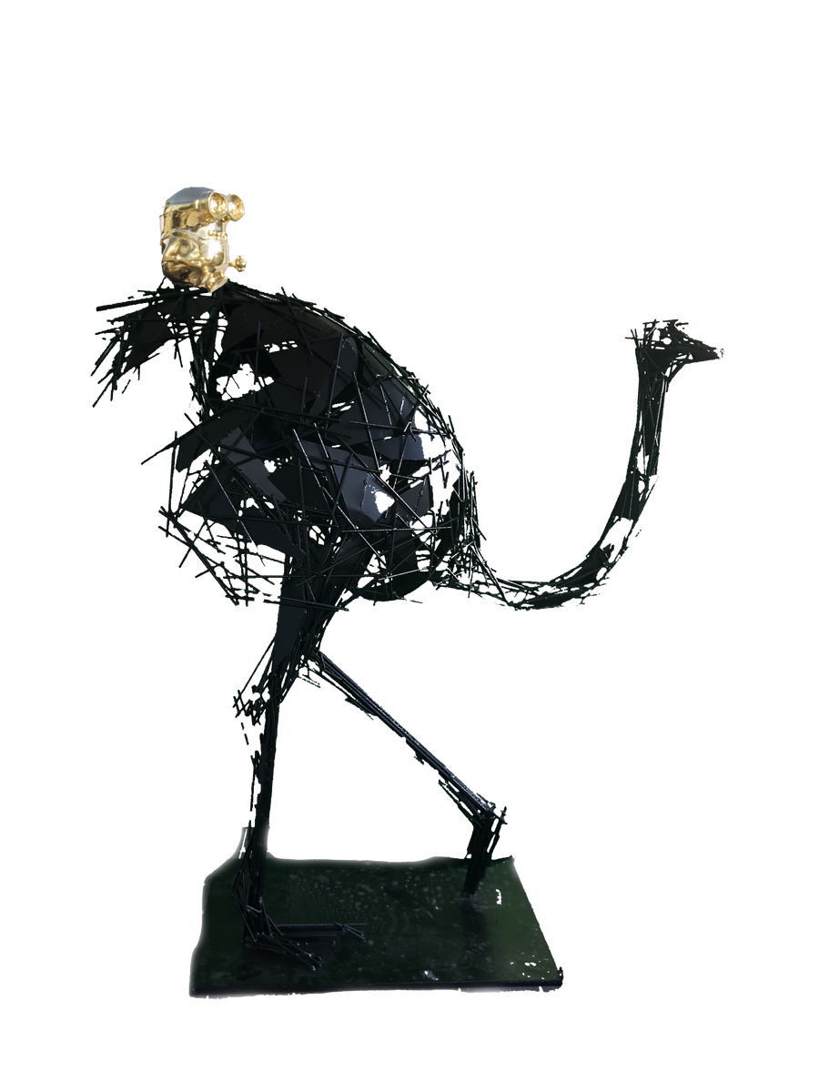 Black Ostrich Bob Tail Riding