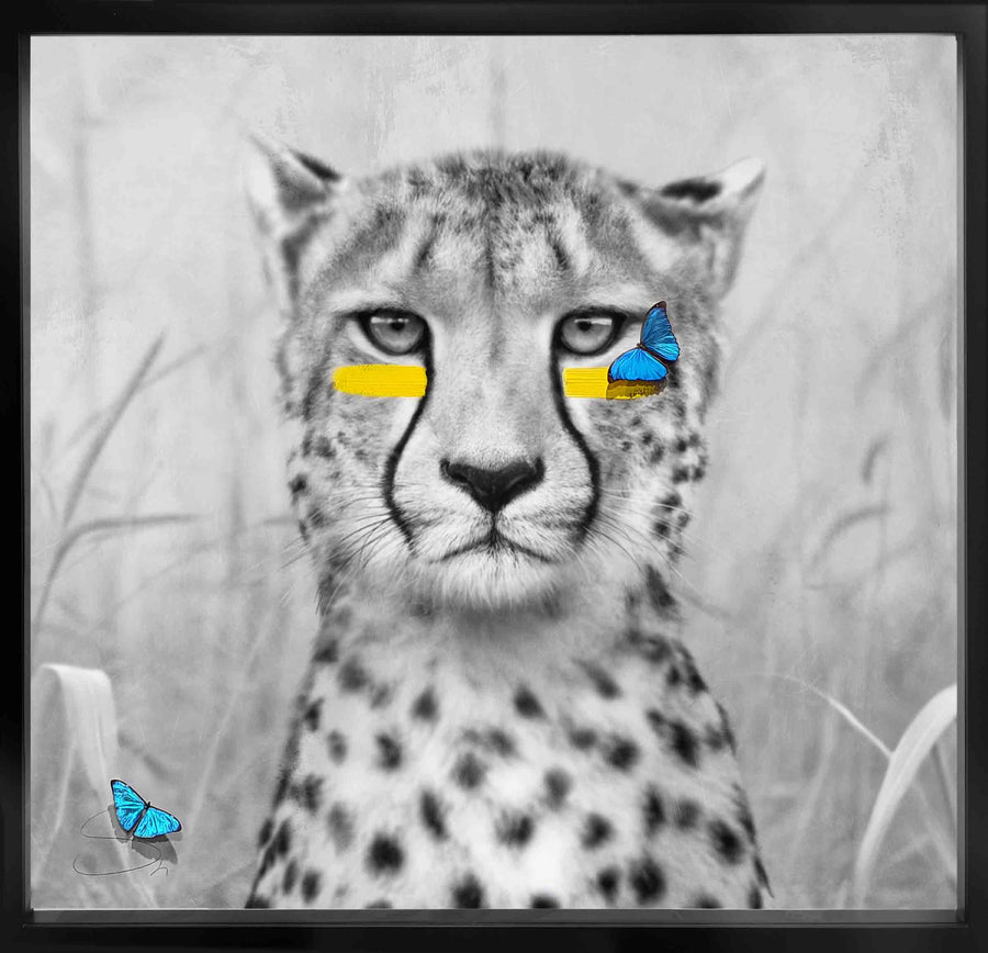 Cheetah