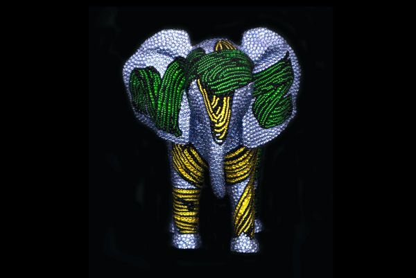 Elephant Canvas Of Life