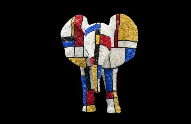 Elephant Outside The Box