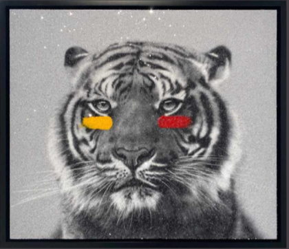 Tiger Glass