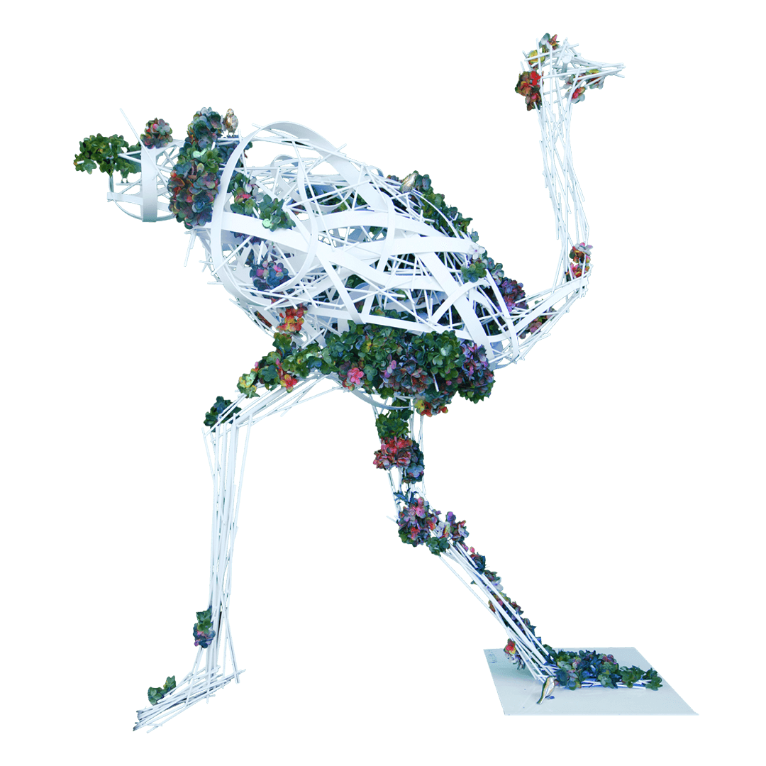 White Flower Ostrich