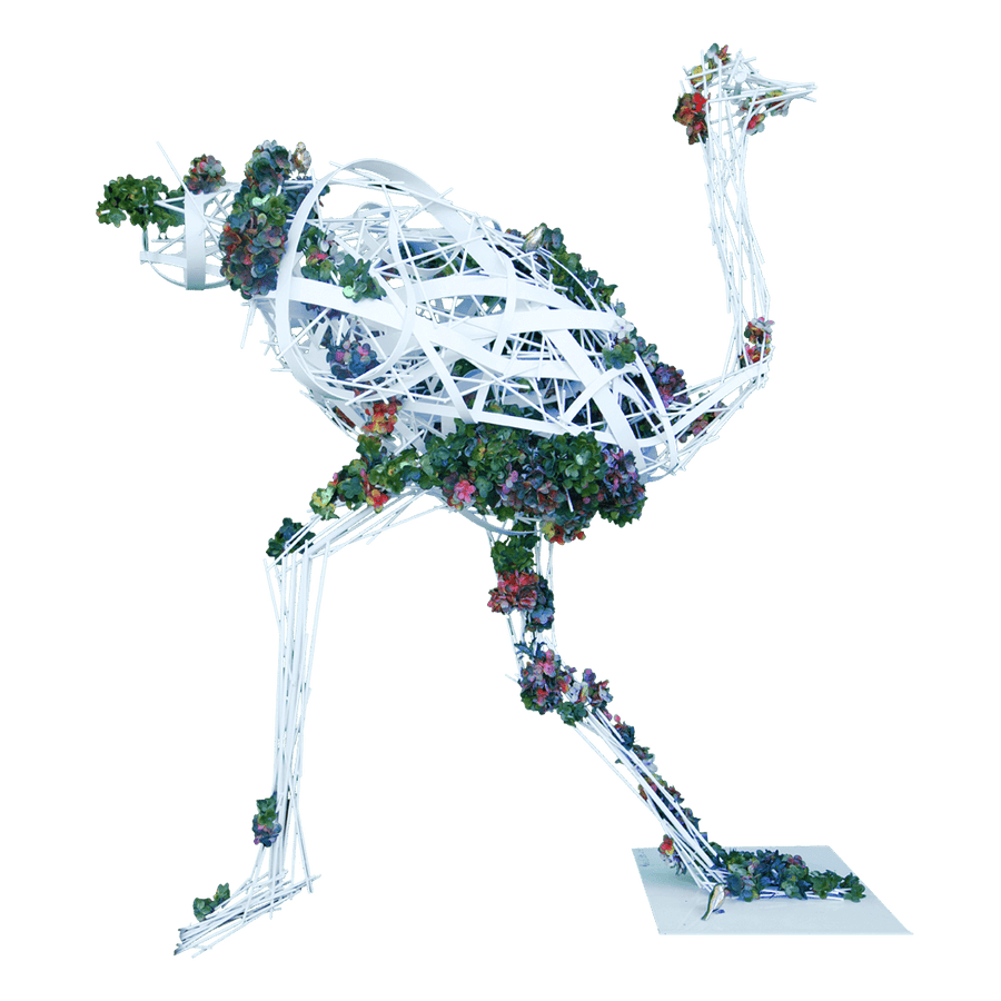 White Flower Ostrich