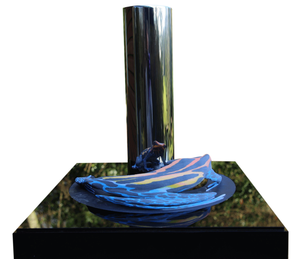 The Dart Frog