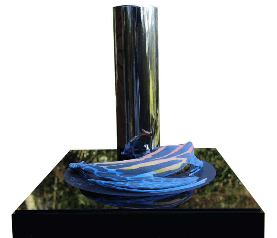 The Dart Frog