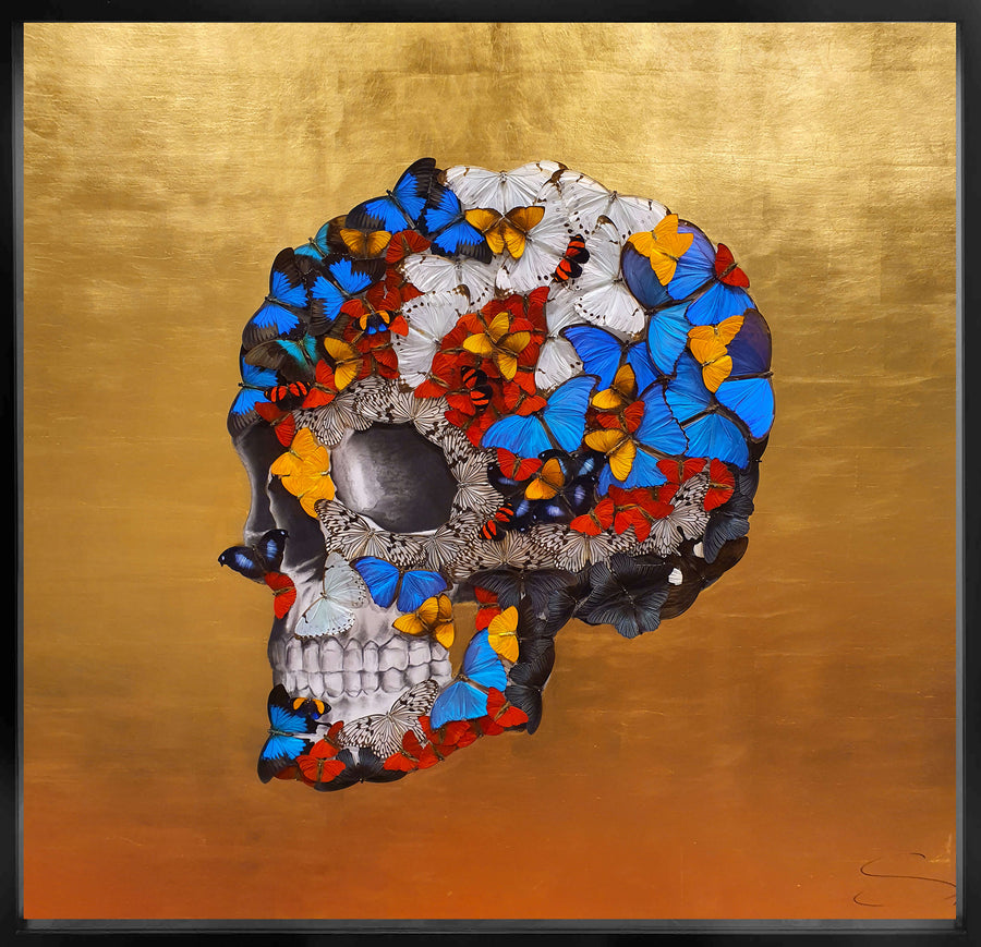 Left Profile Skull