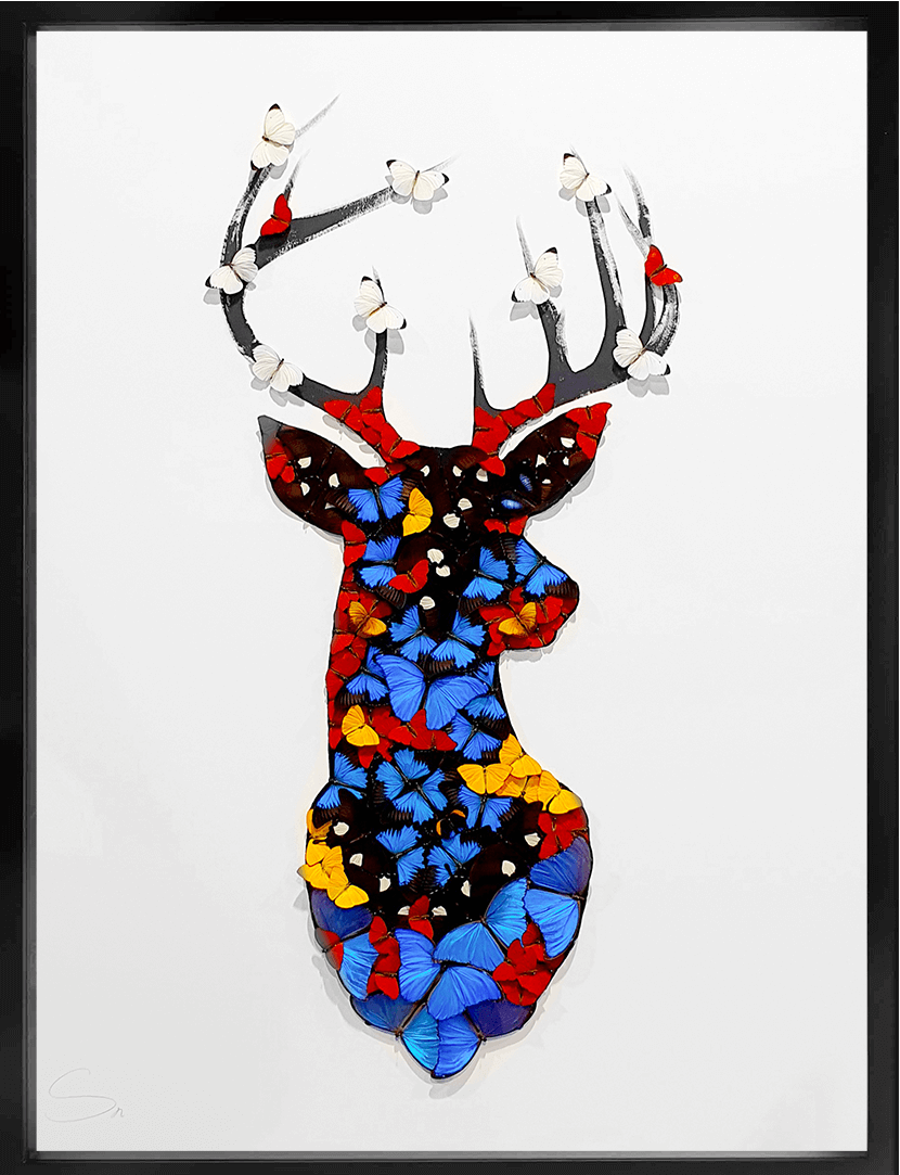 Deer