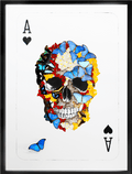 The Ace of Skull